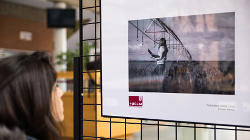 Exposición y asistente