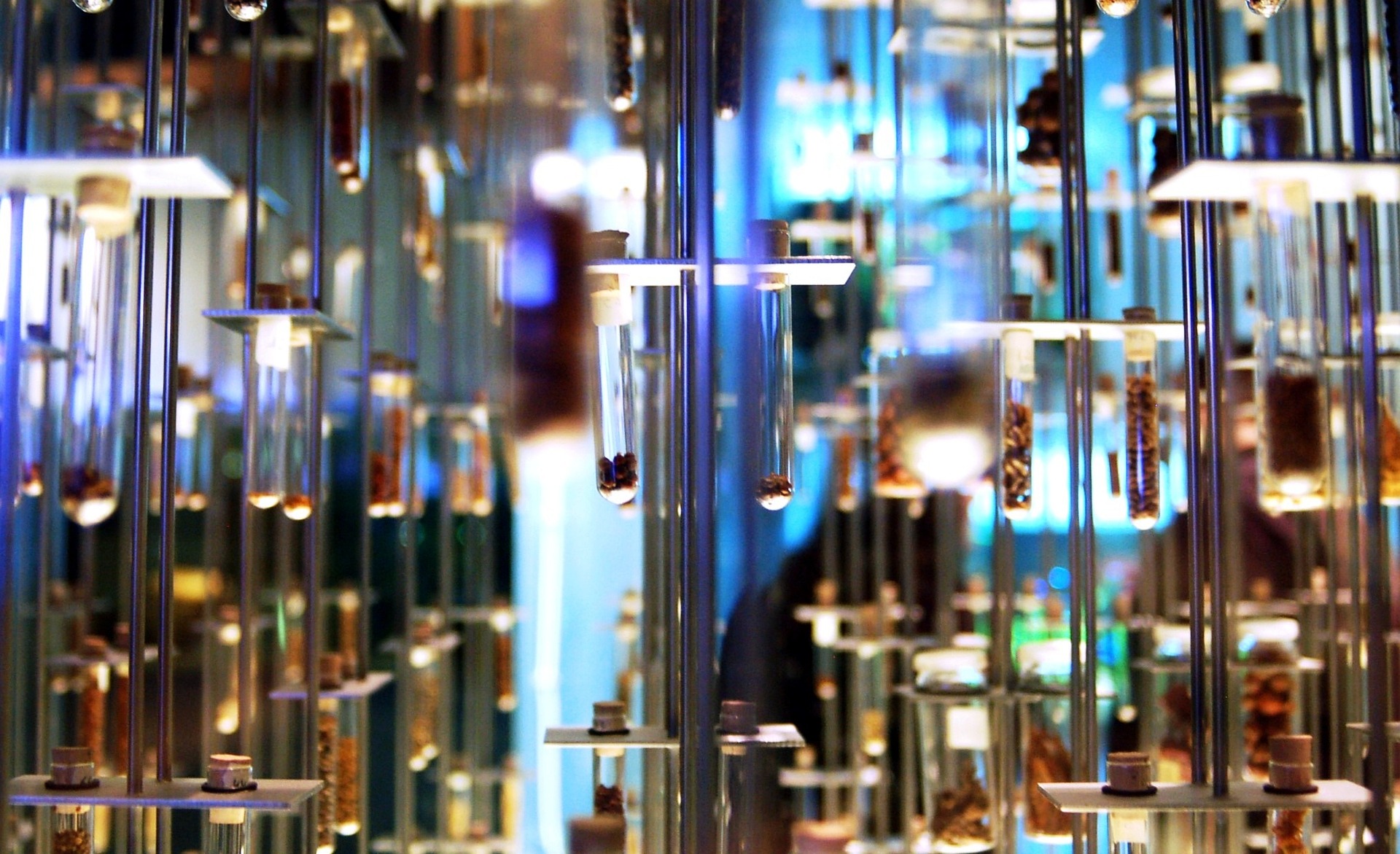 Ayudas Beatriz Galindo para la atracción del talento investigador