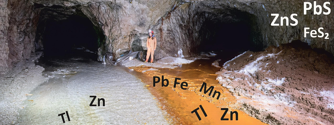 Movilidad y destino del talio y de otros